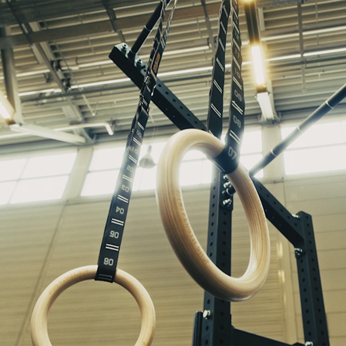 Gymnastic Rings and Straps Set