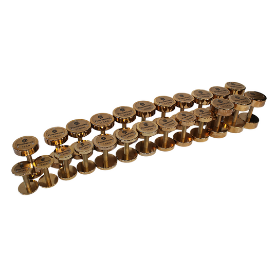 Powercore Rose Gold Electroplated Steel Dumbbell Set - 12 Pairs (2.5kg-30kg) view 2