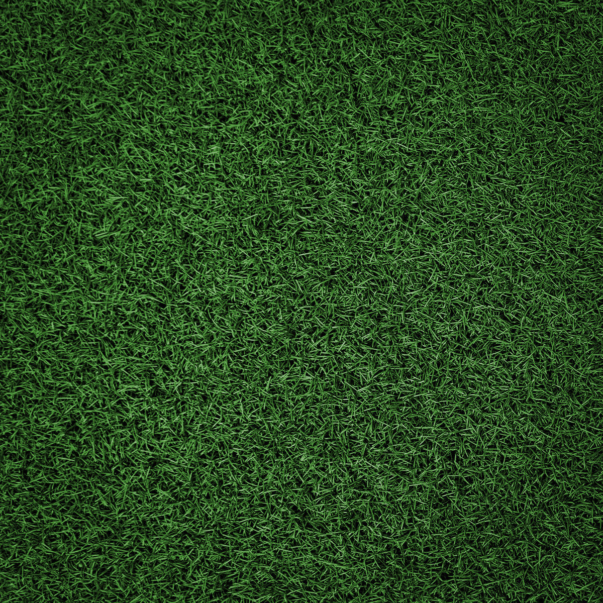 Premium Sprint Track (2m x 10m)
